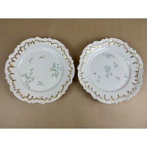 VTG Rare 2 Of Limoges Scalloped Hand Painted Floral Plate8.5" Golden Trim France